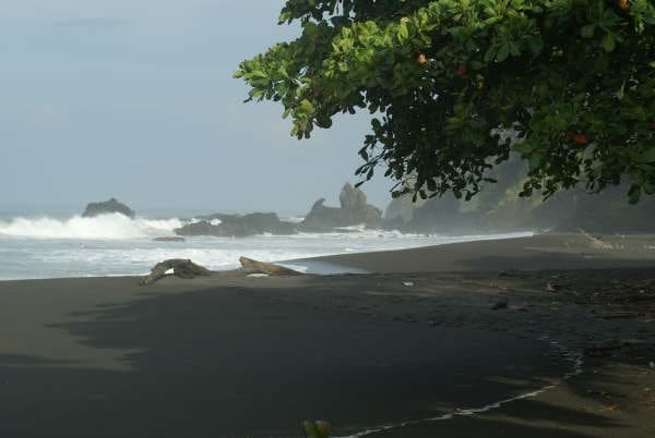 beaches of the osa peninsula costa rica