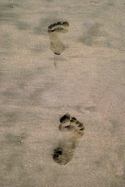 take only photos, leave only footprints