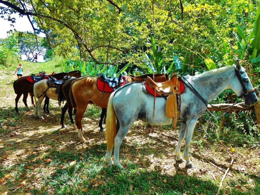 Rancho Tropical Adventures | Rancho Tropical - Costa Rican Horseback Adventures