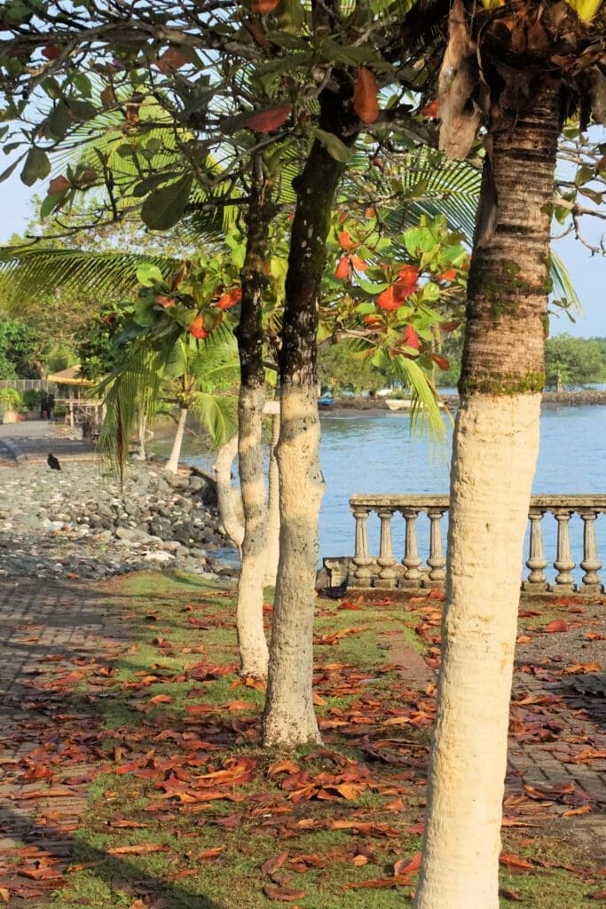 Golfo Dulce, sweet gulf. Puerto Jiménez Osa Peninsula